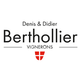 Denis & Didier Berthollier